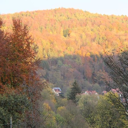 Egloffstein B&B Arlesbrunnen المظهر الخارجي الصورة
