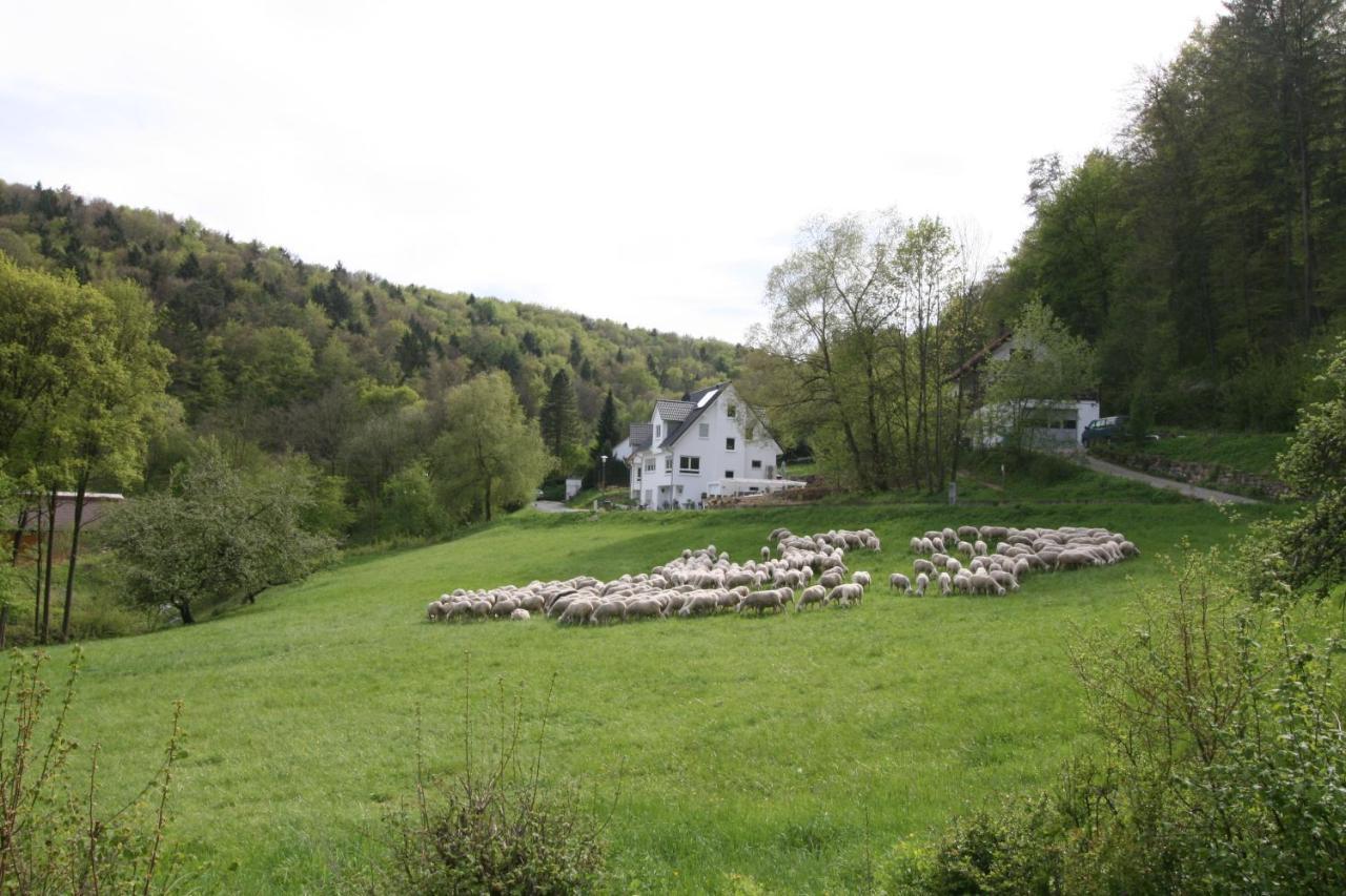 Egloffstein B&B Arlesbrunnen المظهر الخارجي الصورة