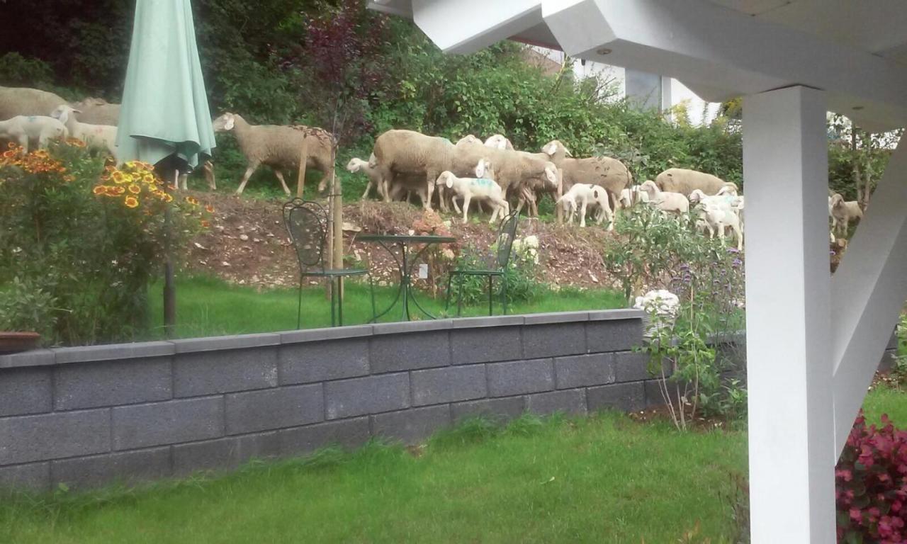 Egloffstein B&B Arlesbrunnen المظهر الخارجي الصورة