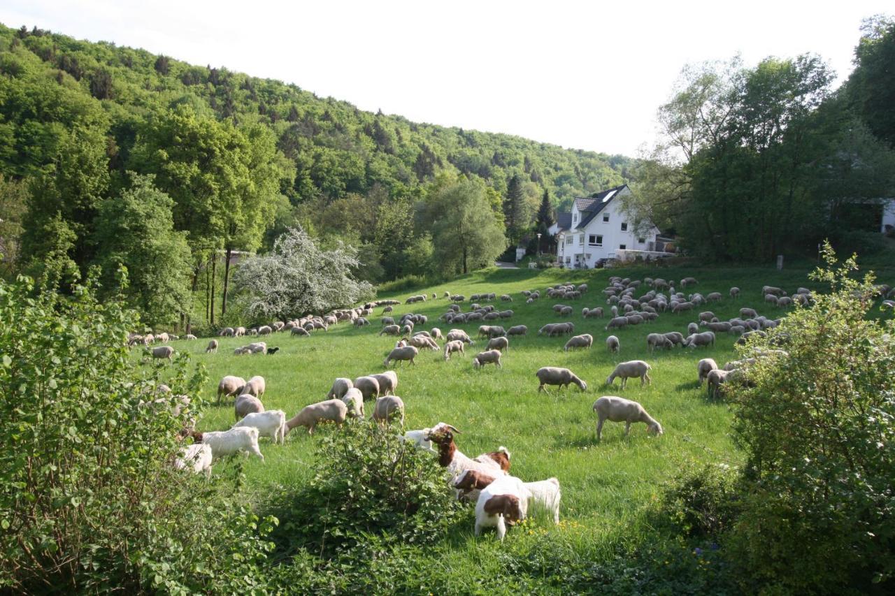 Egloffstein B&B Arlesbrunnen المظهر الخارجي الصورة