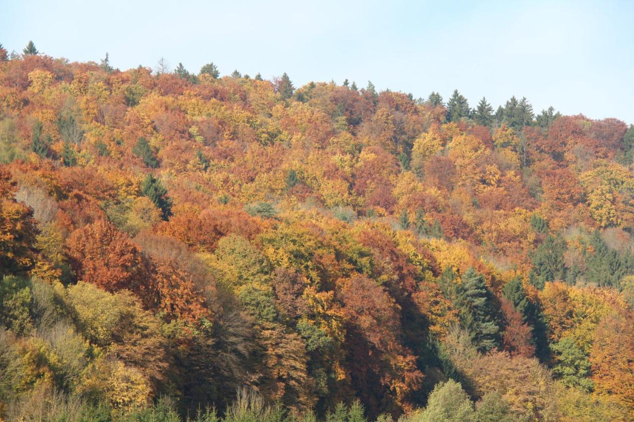 Egloffstein B&B Arlesbrunnen المظهر الخارجي الصورة