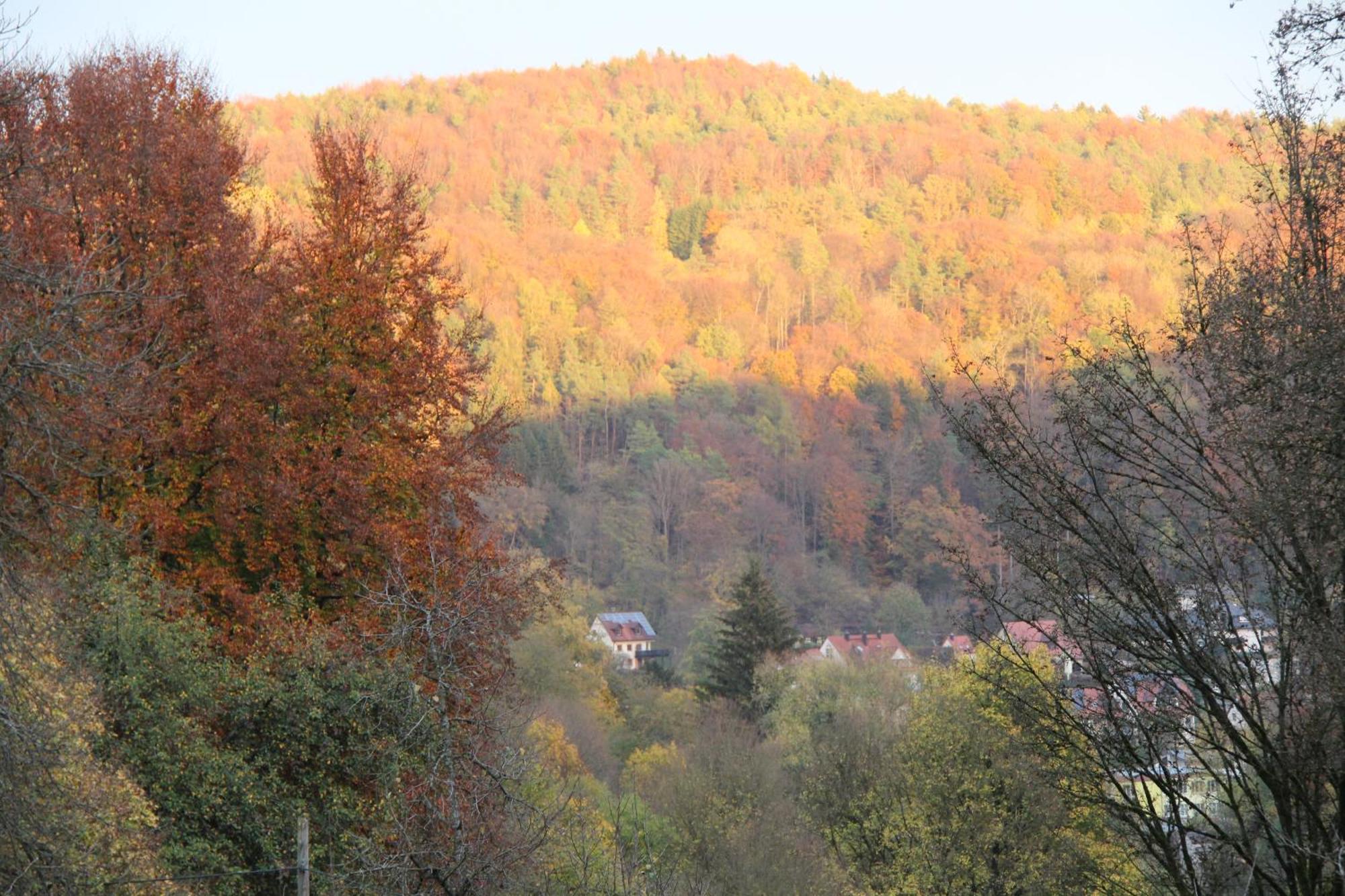 Egloffstein B&B Arlesbrunnen المظهر الخارجي الصورة